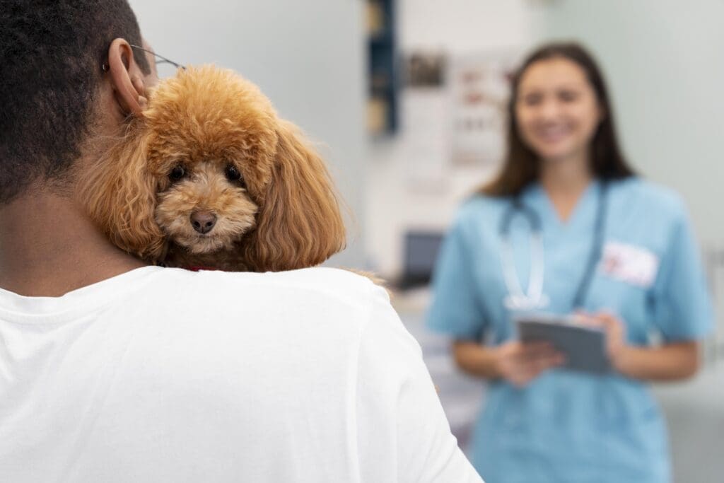 Dog-insurance-evaluation-criteria