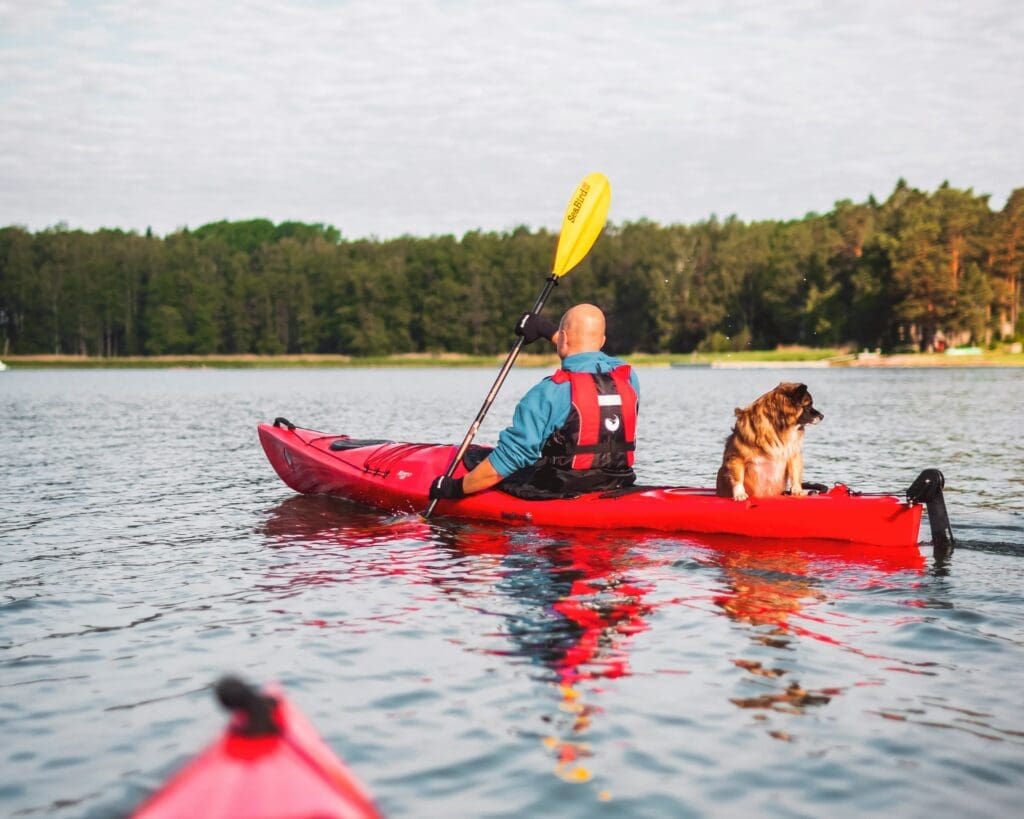 rowing-with-dog